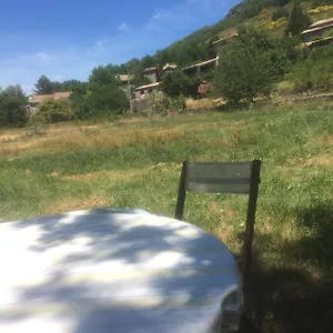 L’oiseau Rêveur Darbres
